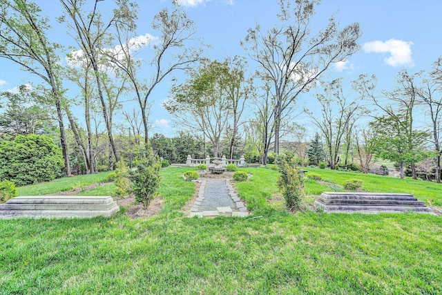 420 S Church St, Fincastle, VA 24090 - view of green lawn