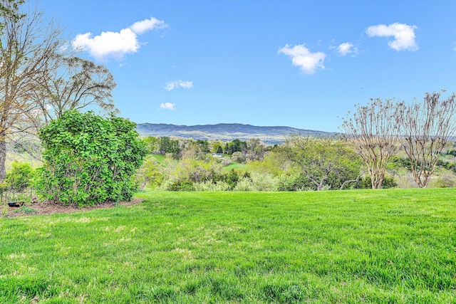 420 S Church St, Fincastle, VA 24090 - view of mountain background