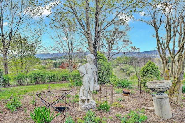 420 S Church St, Fincastle, VA 24090 - view of yard featuring a mountain view