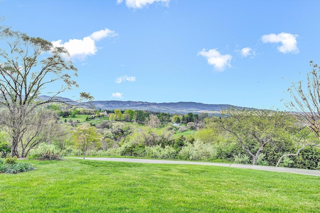 420 S Church St, Fincastle, VA 24090 - view of mountain backdrop
