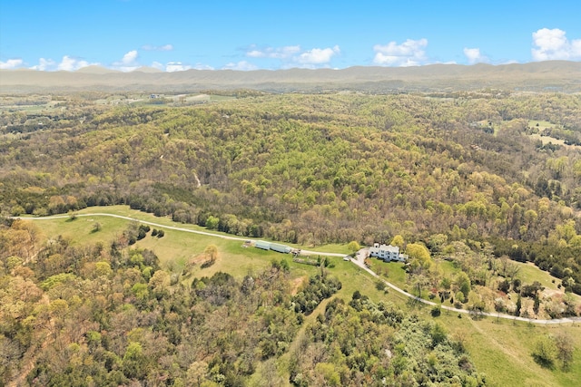 420 S Church St, Fincastle, VA 24090 - aerial view of property's location with a heavily wooded area and a mountain backdrop
