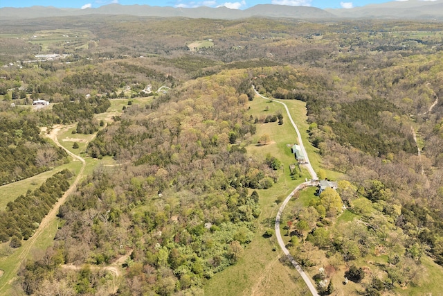 420 S Church St, Fincastle, VA 24090 - view of property location featuring a mountain backdrop and a forest