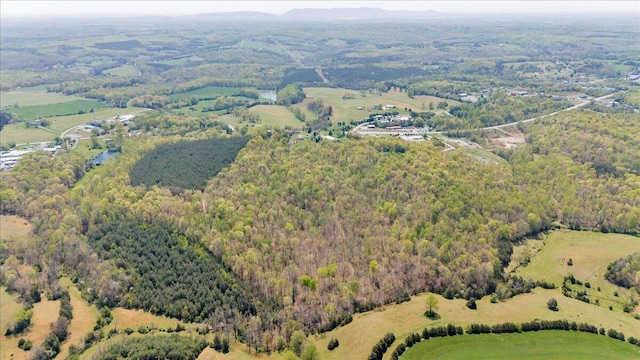 bird's eye view with a forest view