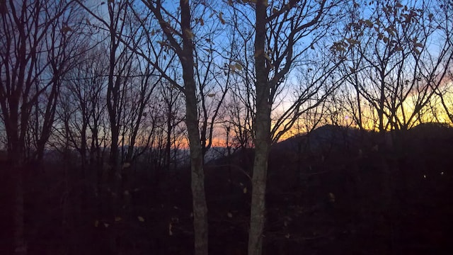 30 Boulder Point Dr, Hardy, VA 24101 - view of local wilderness