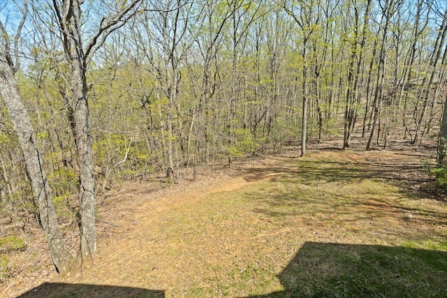 30 Boulder Point Dr, Hardy, VA 24101 - view of yard