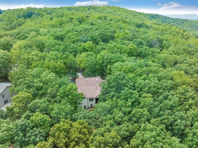 30 Boulder Point Dr, Hardy, VA 24101 - view of subject property featuring a heavily wooded area