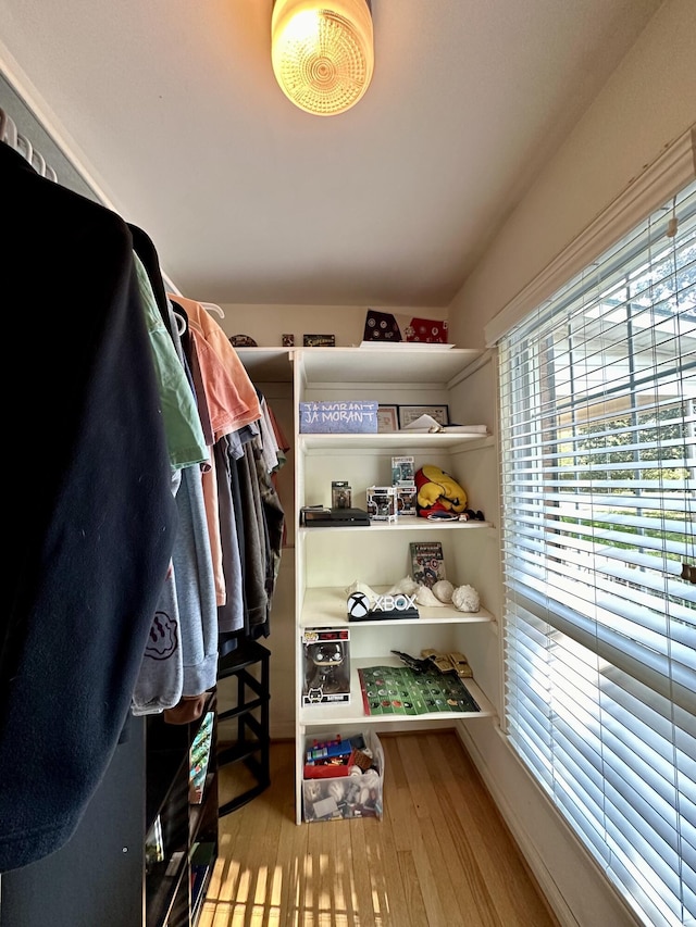 spacious closet featuring wood finished floors