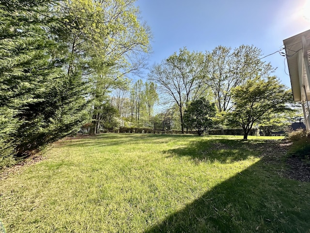 view of yard