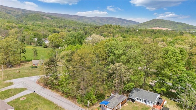 3713 Shelor Ave, Salem, VA 24153