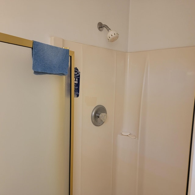 1106 Hogan Rd, Blue Ridge, VA 24064 - interior details with walk in shower