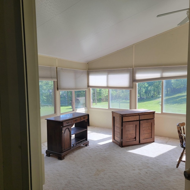 1106 Hogan Rd, Blue Ridge, VA 24064 - office area featuring ceiling fan, light carpet, and lofted ceiling