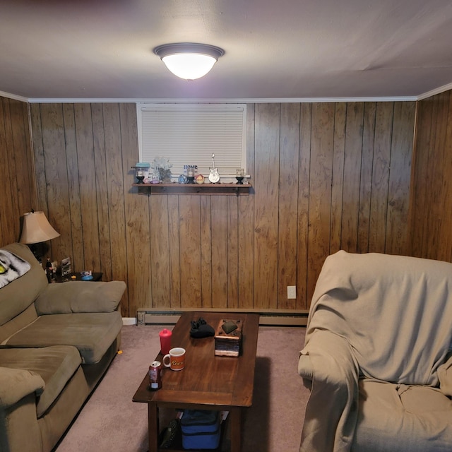 1106 Hogan Rd, Blue Ridge, VA 24064 - carpeted living room with a baseboard radiator and wooden walls