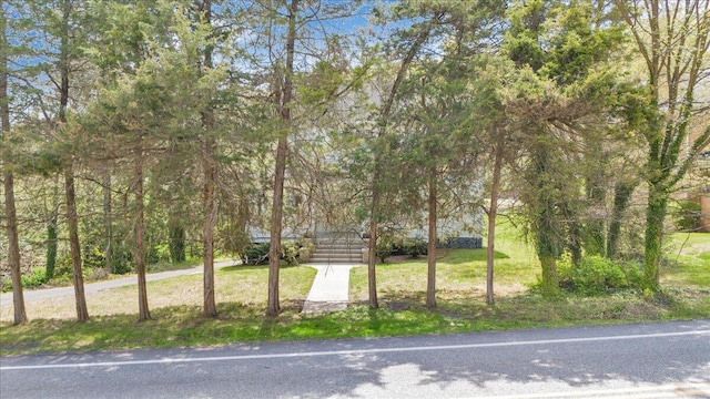 view of community with a lawn