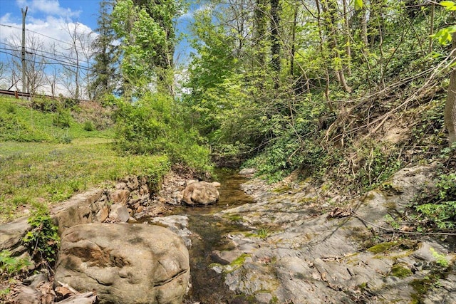 view of local wilderness
