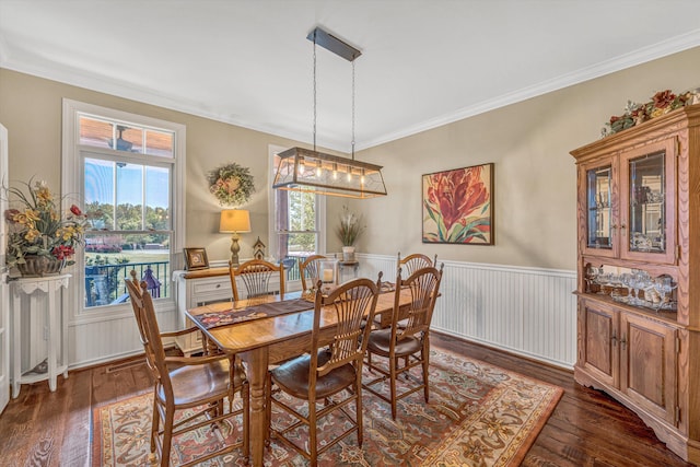 dining room featuring wainscoting, a wealth of natural light, crown molding, and dark wood-style floors