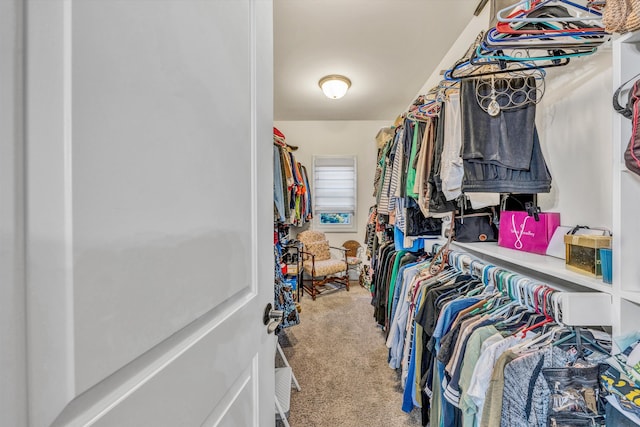 spacious closet featuring carpet flooring