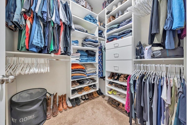 walk in closet with carpet