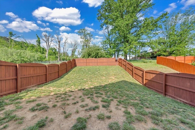 view of yard