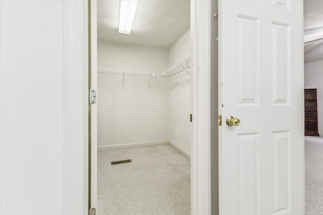 spacious closet featuring visible vents and carpet flooring