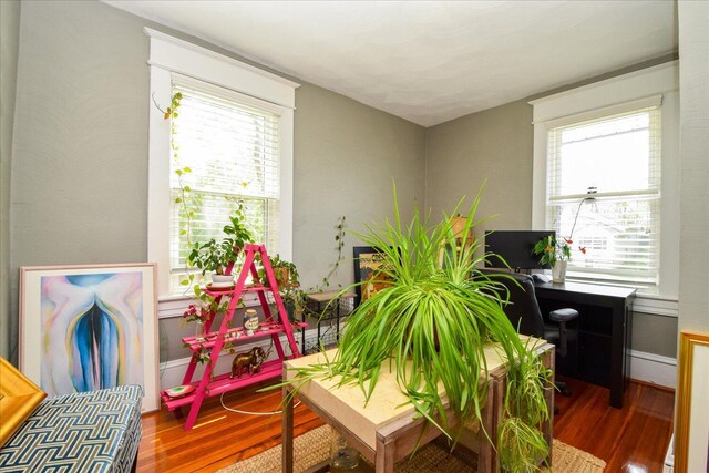 interior space featuring wood finished floors