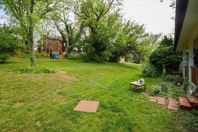 view of yard
