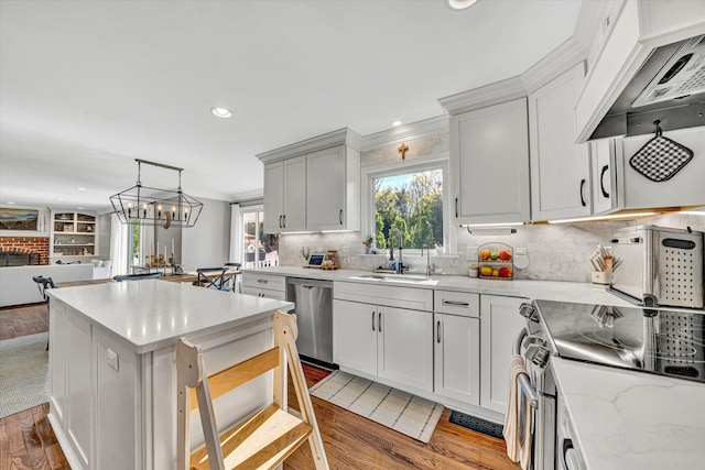 kitchen featuring appliances with stainless steel finishes, a sink, light wood finished floors, under cabinet range hood, and a wealth of natural light