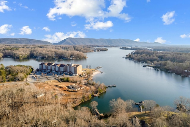 birds eye view of property with a water and mountain view