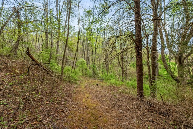 view of landscape featuring a wooded view