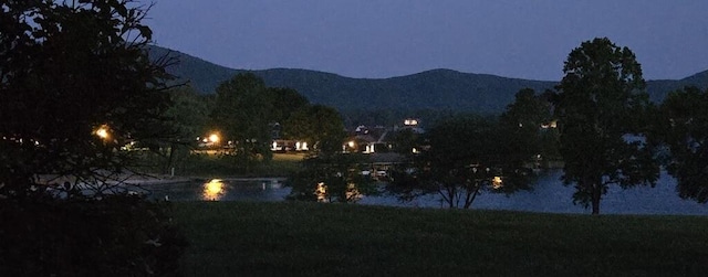 100 Sailors Cove Dr Unit 1319, Moneta, VA 24121 - mountain view