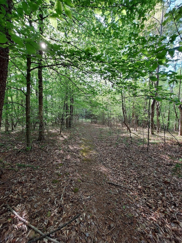 0 Virgil H Goode Hwy, Rocky Mount, VA 24151