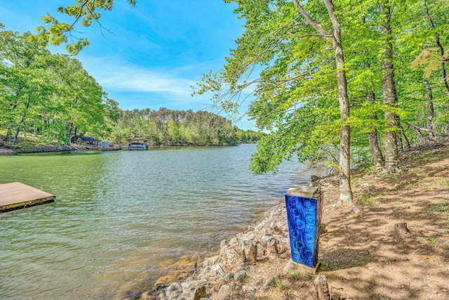 property view of water featuring a boat dock