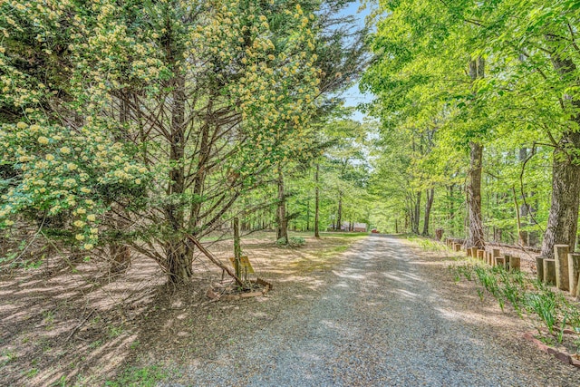 view of street with a view of trees