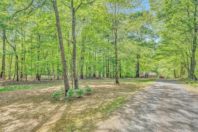 exterior space featuring driveway and a forest view