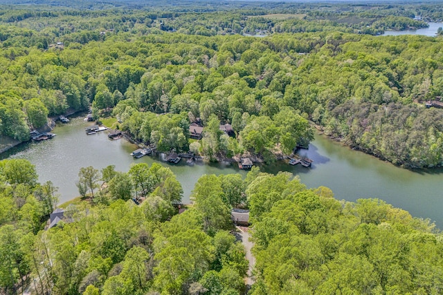 drone / aerial view with a water view and a view of trees