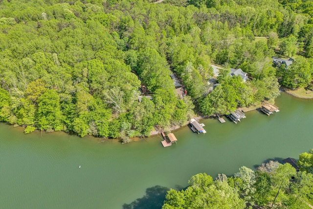 birds eye view of property featuring a water view and a wooded view