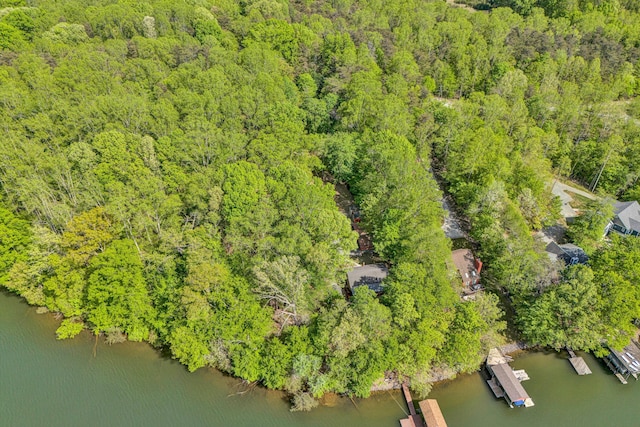 bird's eye view featuring a water view and a view of trees