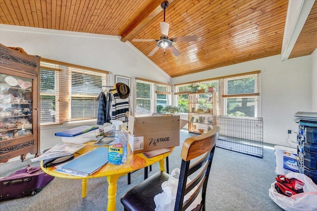 712 Baltimore Ave, Bedford, VA 24523 - view of sunroom / solarium