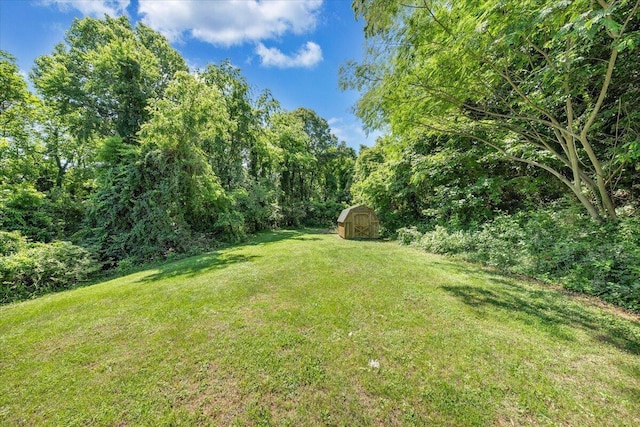 712 Baltimore Ave, Bedford, VA 24523 - view of green lawn featuring a view of trees