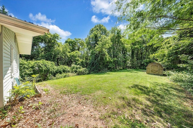 712 Baltimore Ave, Bedford, VA 24523 - view of green lawn