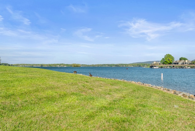 75 Dockside Cir Unit 308, Moneta, VA 24121 - water view