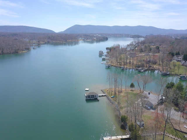 511 Autumn Ave, Huddleston, VA 24104 - water view with a mountainous background