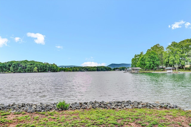 511 Autumn Ave, Huddleston, VA 24104 - water view