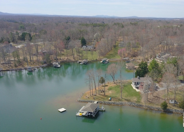 511 Autumn Ave, Huddleston, VA 24104 - view of property location with a forest and a large body of water
