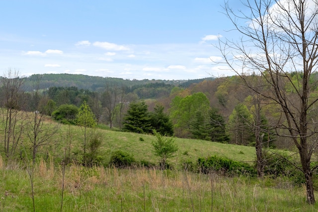 mountain view featuring a view of trees