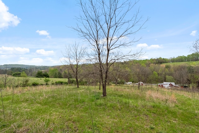 view of yard with a rural view and a view of trees