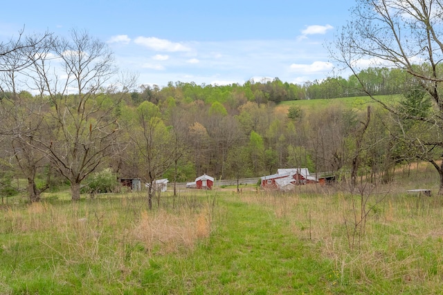 view of yard featuring a rural view and a forest view