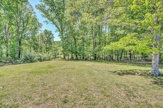 view of yard featuring a forest view