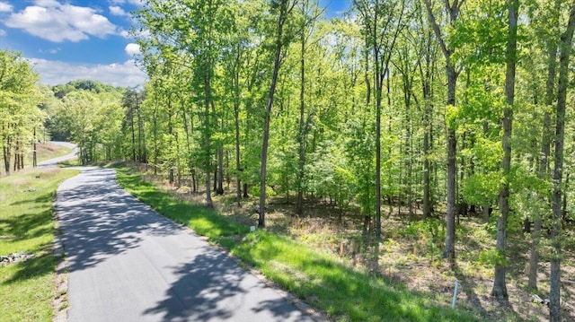 LOT8 Red Barn Ln, Wirtz, VA 24184