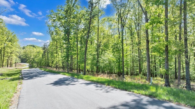 LOT8 Red Barn Ln, Wirtz, VA 24184