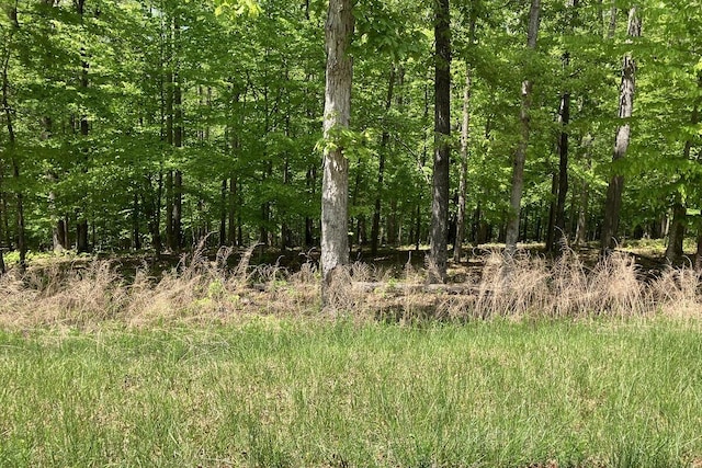 LOT8 Red Barn Ln, Wirtz, VA 24184